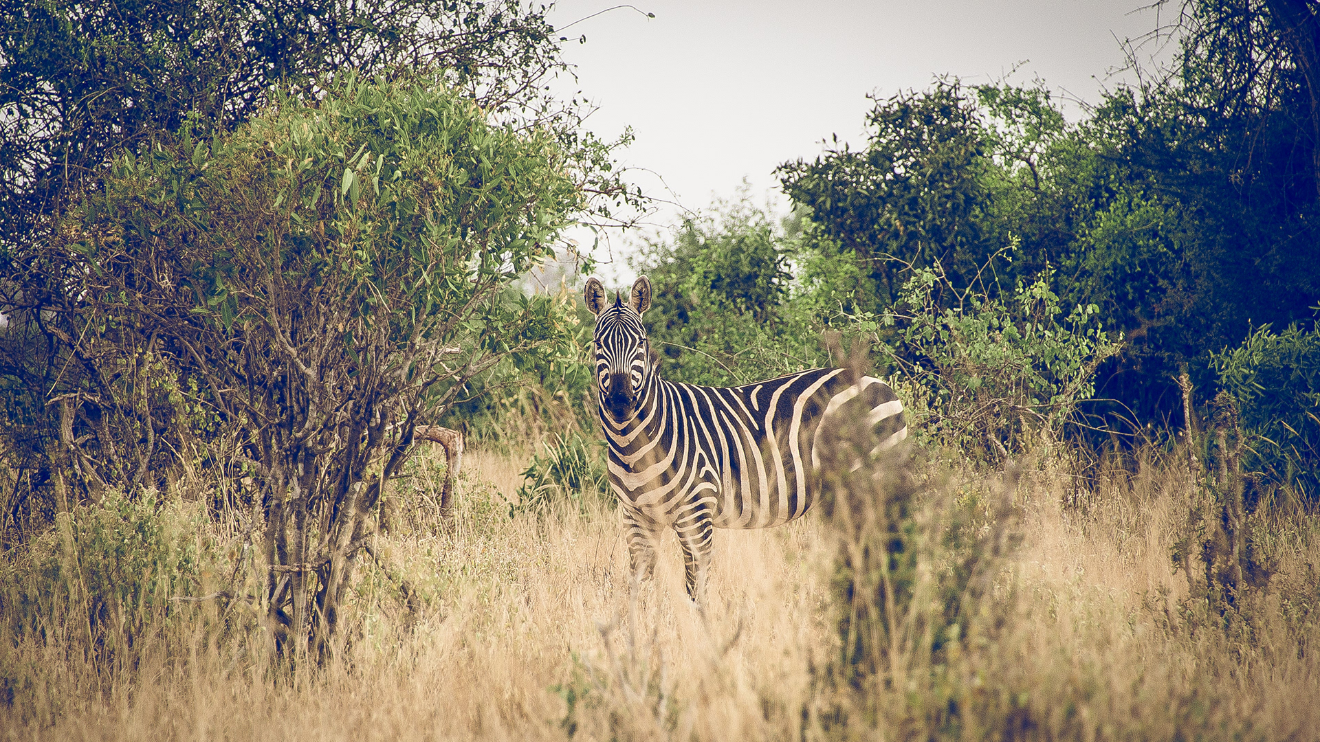 Photography by Victor Thuo