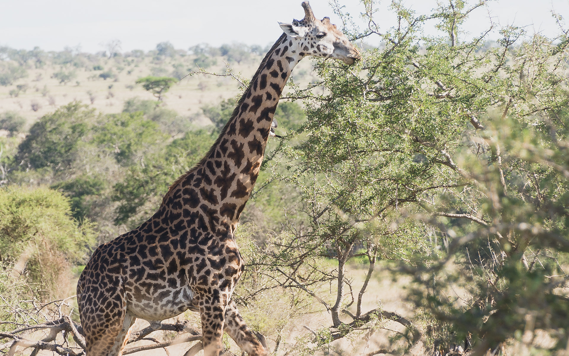 Photography by Victor Thuo